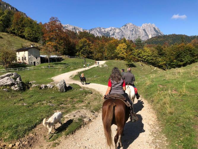 Avvicinamento al Horsemanship (attività di avvicin