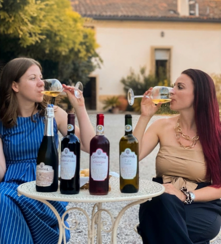 Degustazione "Interludio" in Villa Veneta 2
