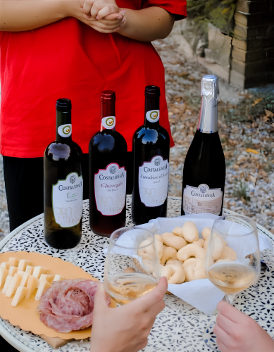 Degustazione "Raixe Grixe" in Villa Veneta 3