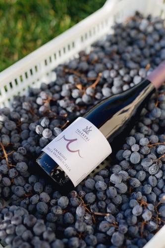 Amarone