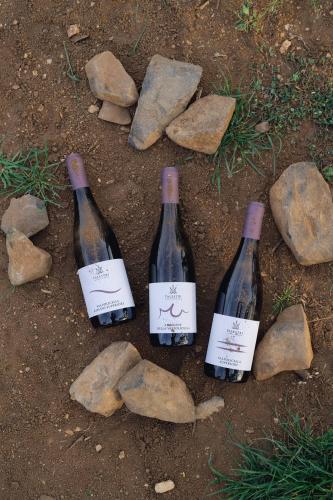 vini rossi