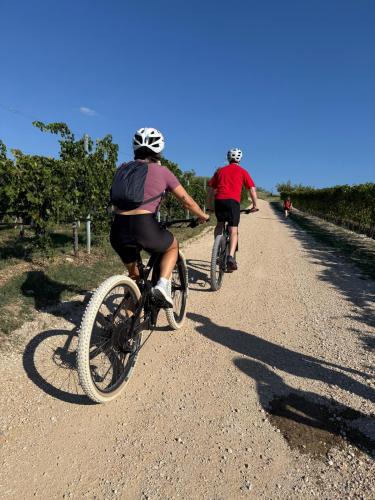 e-bike