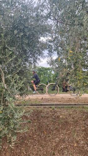 percorso